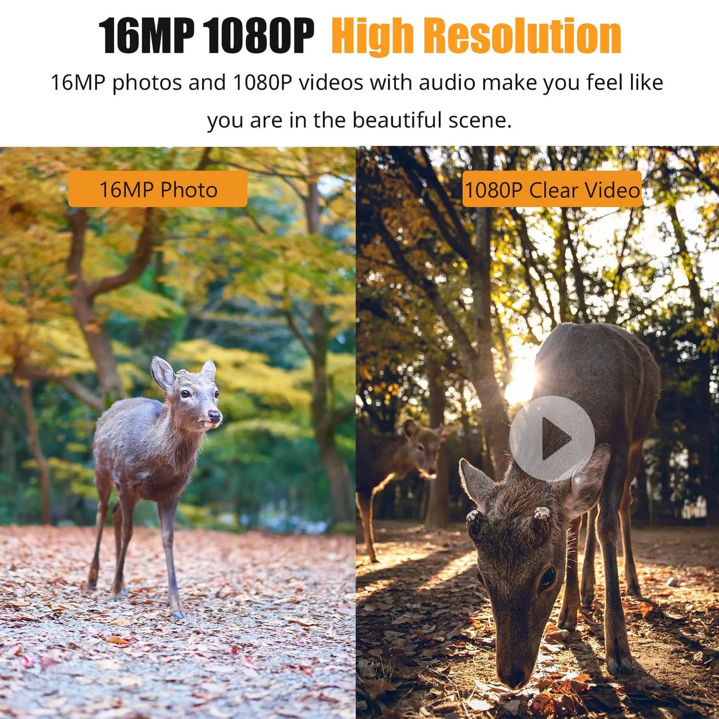 1080P Waterproof Hunting Camera with 16MP Night Vision and LCD Display
