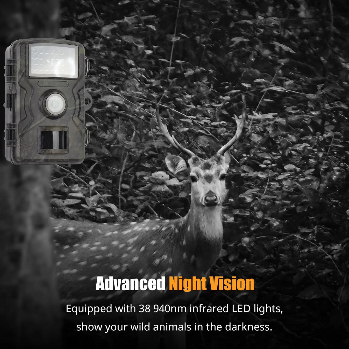 1080P Waterproof Hunting Camera with 16MP Night Vision and LCD Display