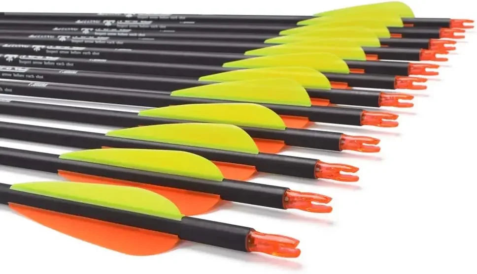 Carbon Hunting Arrows with 100 Grain Removable Tips for Archery Practice