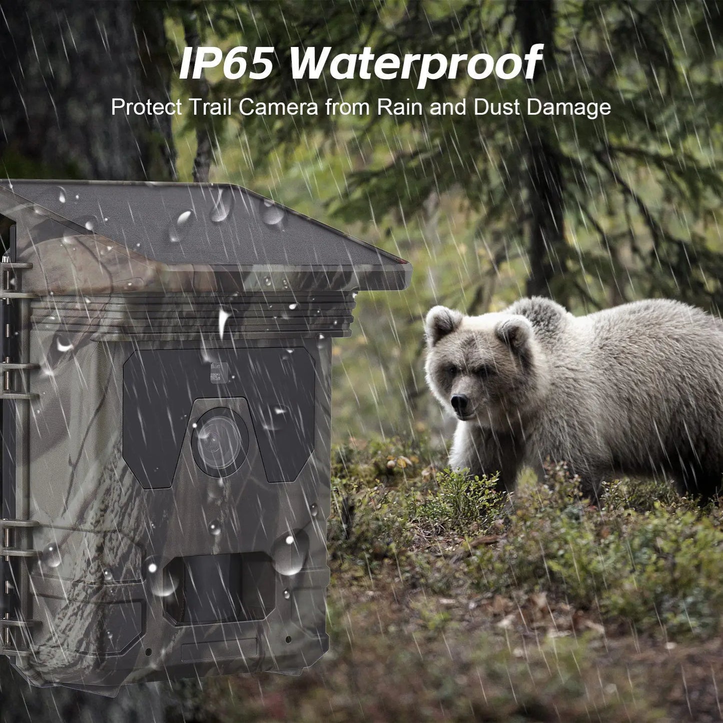 Solar Powered 50MP 4K Trail Camera With 0.3s Trigger Time For Wildlife Monitoring